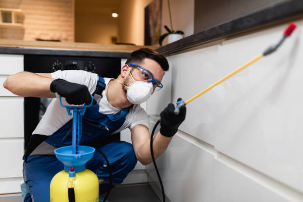 Best Affordable Pest Control Services  in Salem, WV