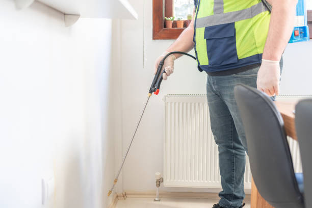 Reliable Salem, WV Pest Control Solutions